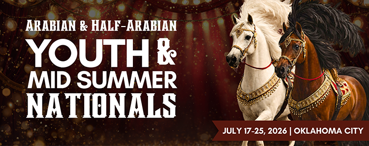 YNL_Show_Banner 22YNL_Show_Banner