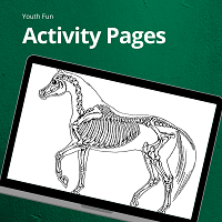 Activity Pages (1)