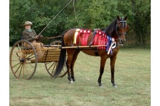 25ARRP_High_Hour_Winner5 25ARRP_High_Hour_Winner5