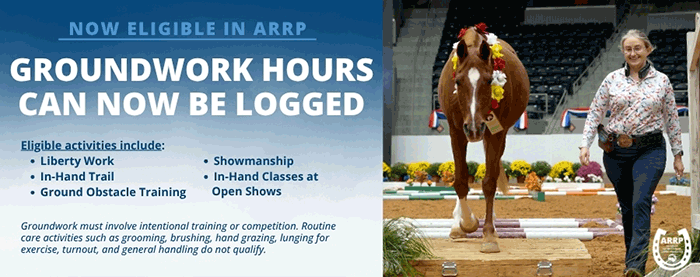 AARP_Groundwork_Now_Logged