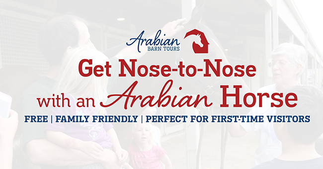 ABT_Nose-to-Nose