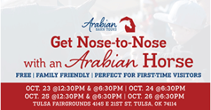 ABT_Nose-to-Nose_USN