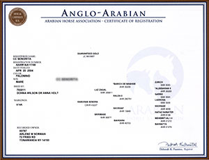Registration_Anglo_Cert Border