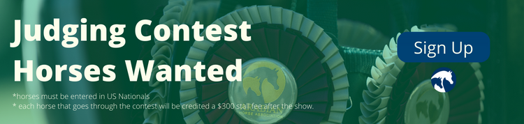 Horses Wanted Banner