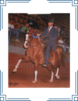 AHA_HoF_Image AHA_HoF_Image