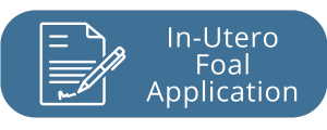 Enrollment_Form_Button