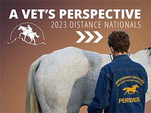 VL_Competition_Vet_Perspective