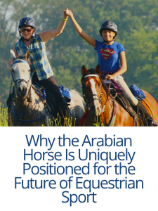 AHA_Blog_Arabian_Horse_Uniquely_Positioned