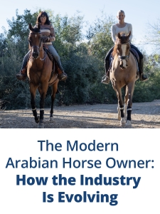 AHA_Blog_Modern_Arabain_Horse_Owner
