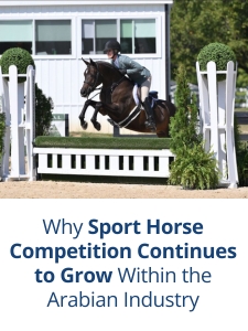 AHA_Blog_Arabian_Horse_Uniquely_Positioned