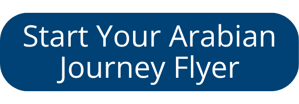 MTK_Start_Arabian_Journey