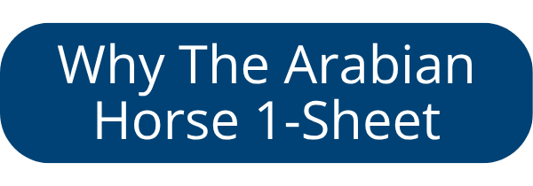 MTK_Why_Arabian_1Sheet