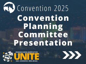 VL_25Convention_Planning